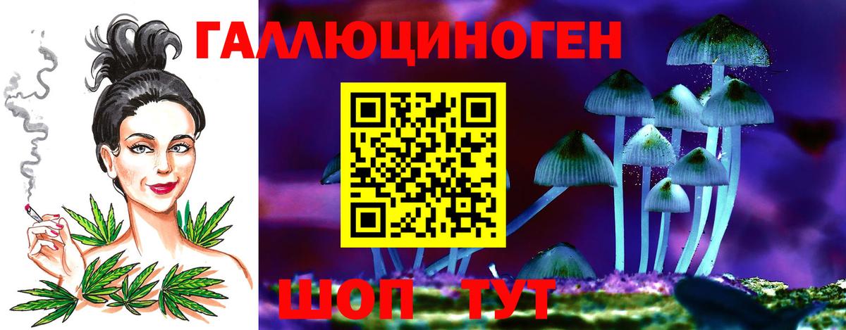 Галлюциногенные грибы ЛСД  Вход с VPN  Гай  Псилоцибиновые грибы GOLDEN TEACHER 